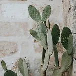 Il Giardino Del Priore Dimora Rurale 3*
