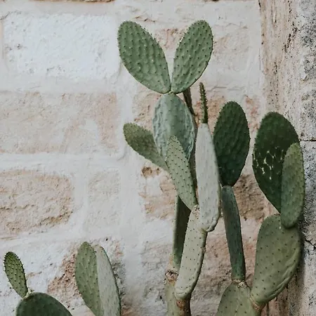 Il Giardino Del Priore Dimora Rurale *