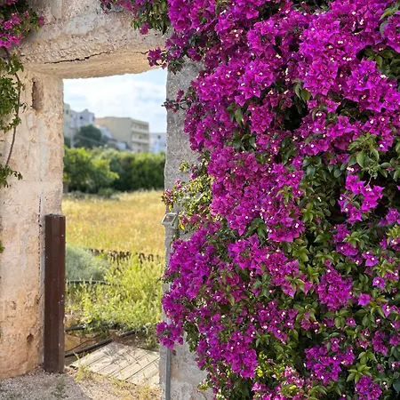 Il Giardino Del Priore Dimora Rurale * أُجينتو