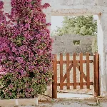 Il Giardino Del Priore Dimora Rurale