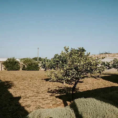 Konukevi Il Giardino Del Priore Dimora Rurale Ugento